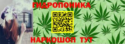 PSILOCYBIN Краснознаменск