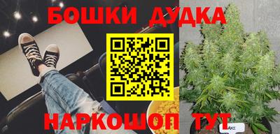 PSILOCYBIN Краснознаменск